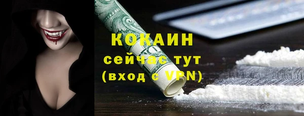 2c-b Богородицк